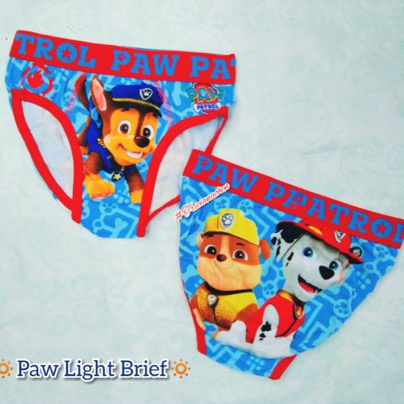 Sale!Paw Patrol Brief Character Printed Cotton Kids Underwear For