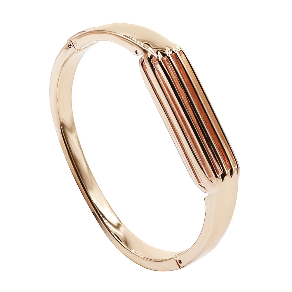 Fitbit flex 2 metal bangle hotsell