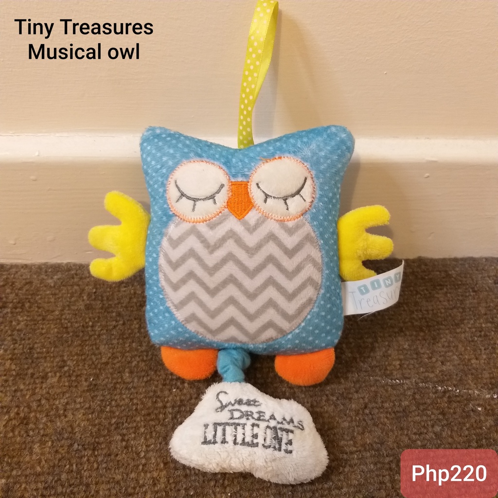 Tiny treasures store musical owl toy