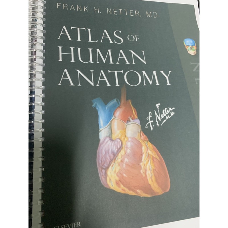 Atlas Of Human Anatomy By Netter 7th Edition Shopee Philippines 