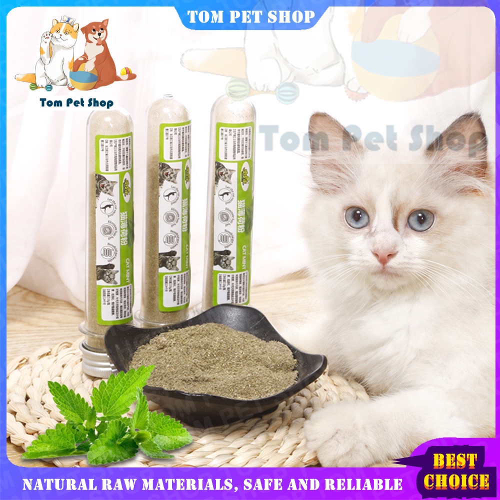 10g Catnip Cat Snack Cat Food Addition Promotes Cat Nutrition Pet Cats