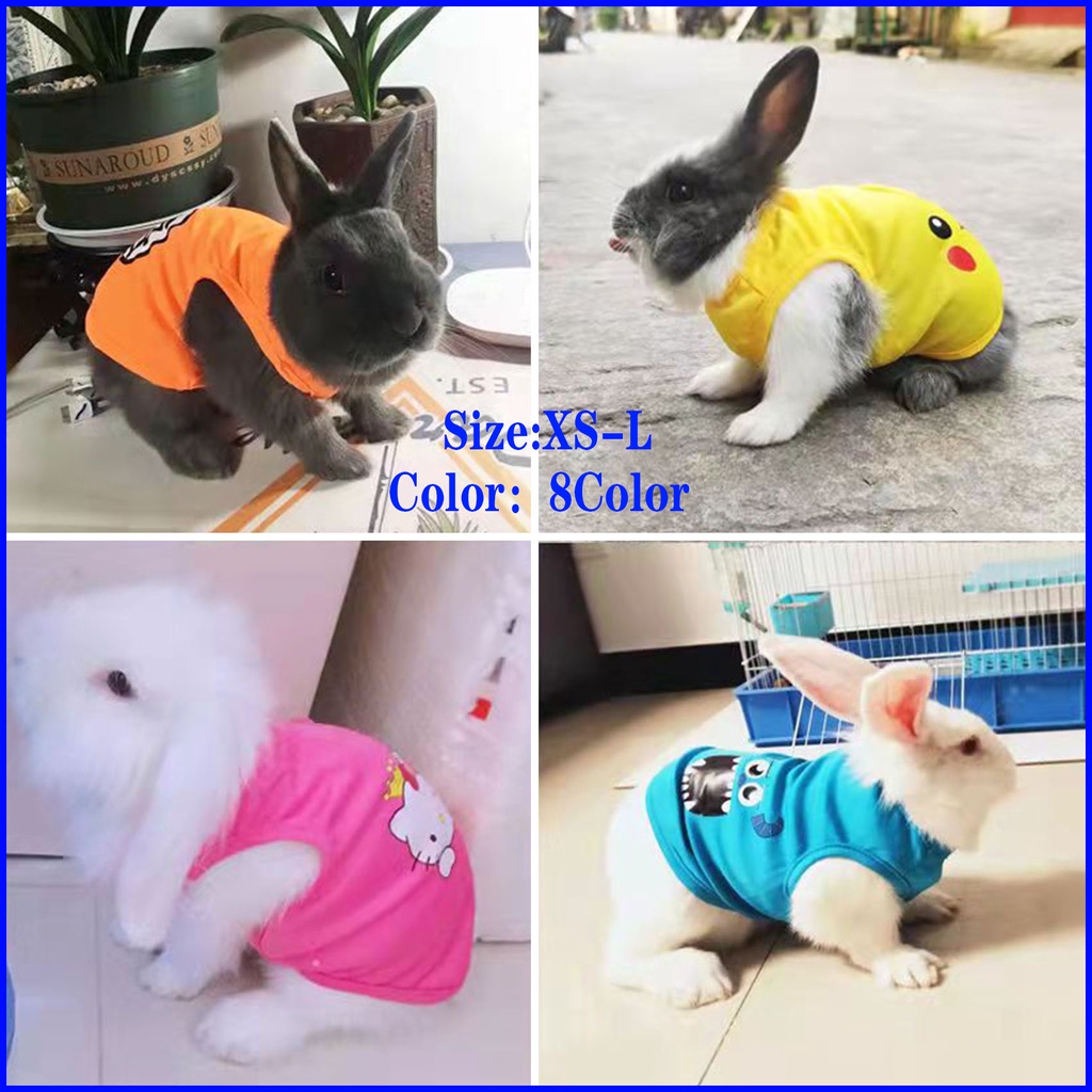 Pet rabbit clothes outlet suppliers