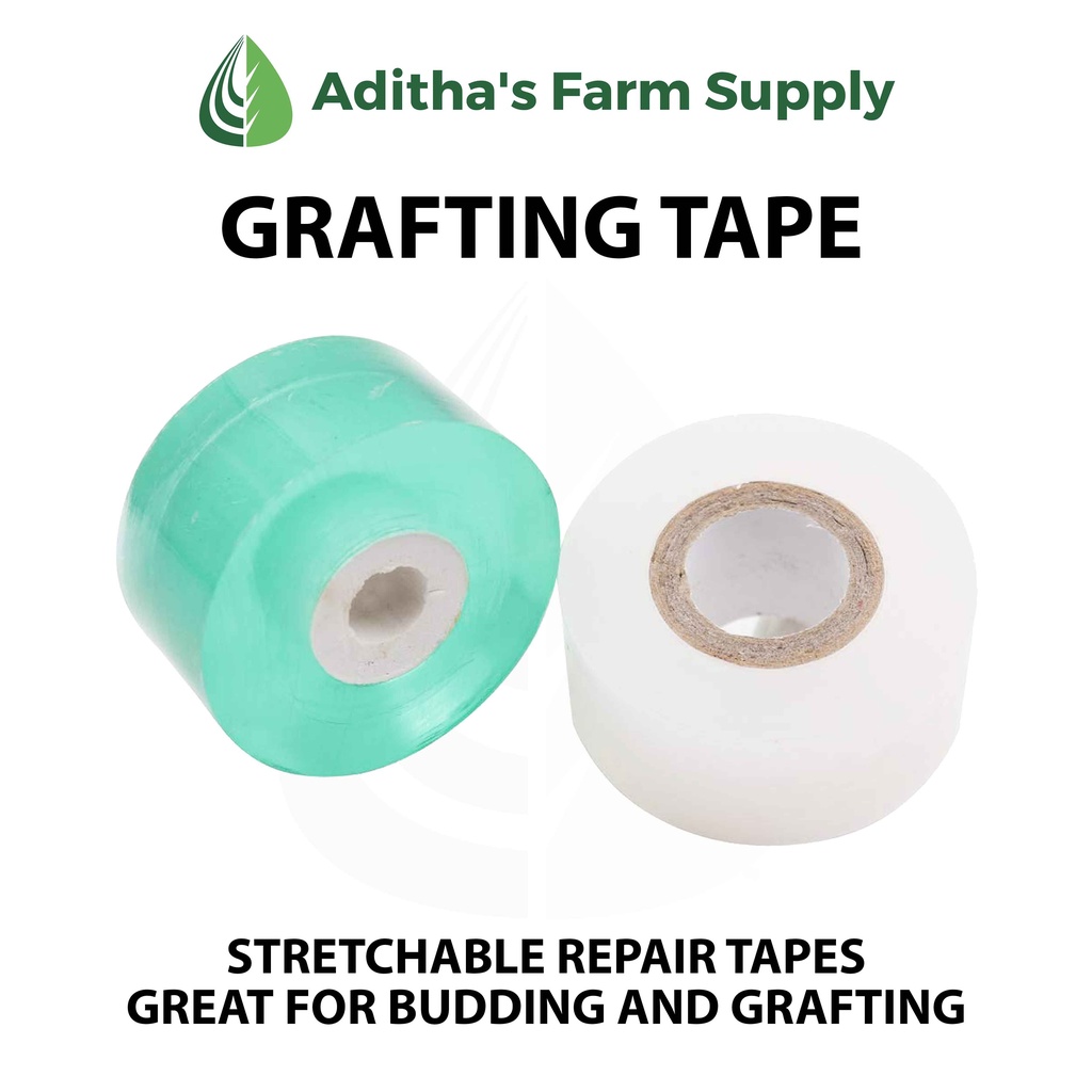 Grafting Tape 3cm x 150m (Stretchable Repair Tapes Great For Budding and Grafting) by Aditha's