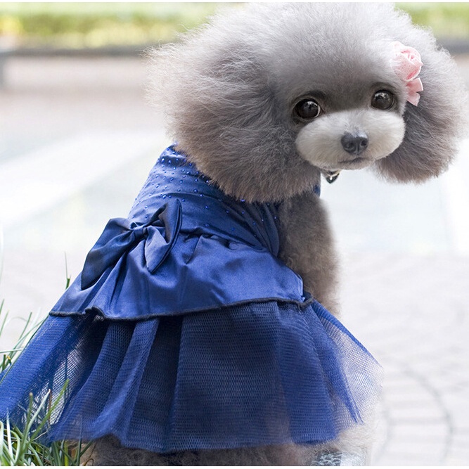 bridesmaid dress for dog Wedding dog satin dress | Dog Flower girl Dress | Blush wedding | Pink  Champagne wedding dog dress | dog clothes XS-XL