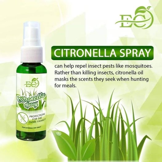 Ec Citronella Spray (insect repellant) Shopee Philippines