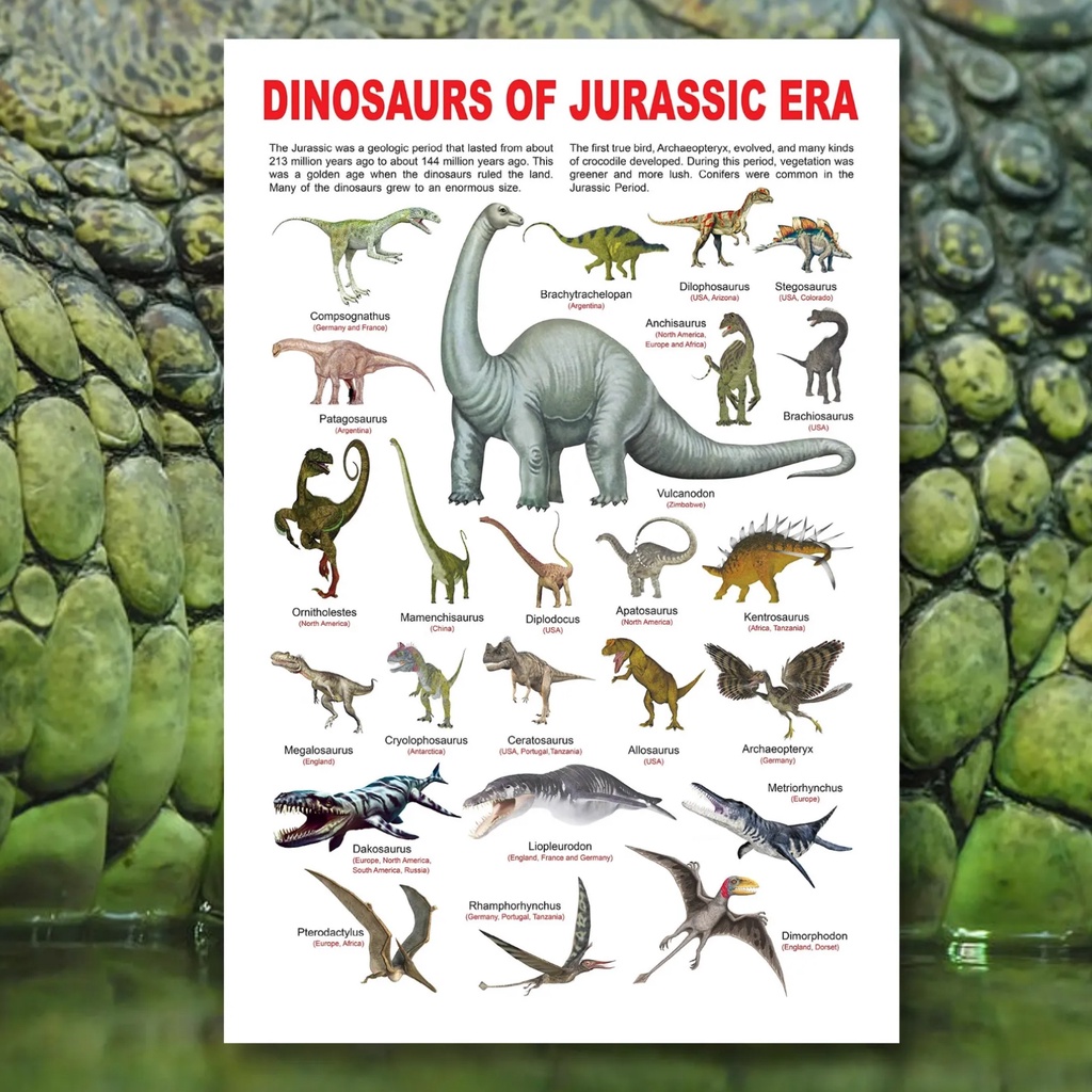 Laminated Dinosaurs Chart for Kids, learners and Students, Science ...