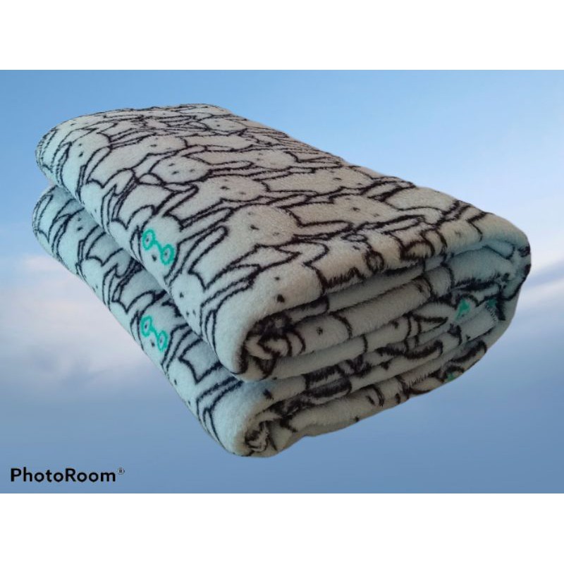 Baguio Blankets and Pillow talk Softy animated KING and QUEEN size