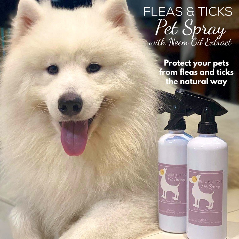 Neem oil for ticks on clearance dogs