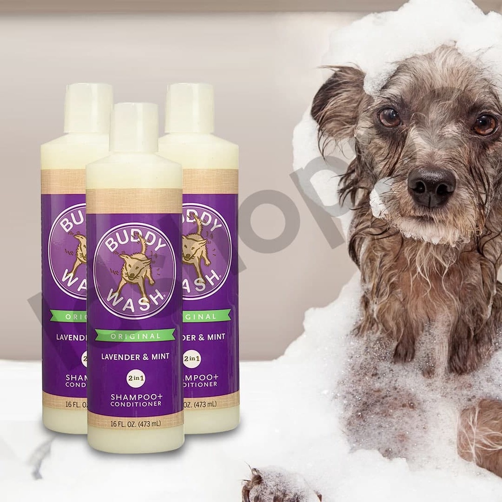 Buddy wash lavender 2025 mint dog shampoo