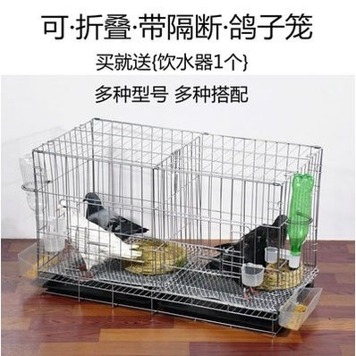 Breeder cage deals for pigeon