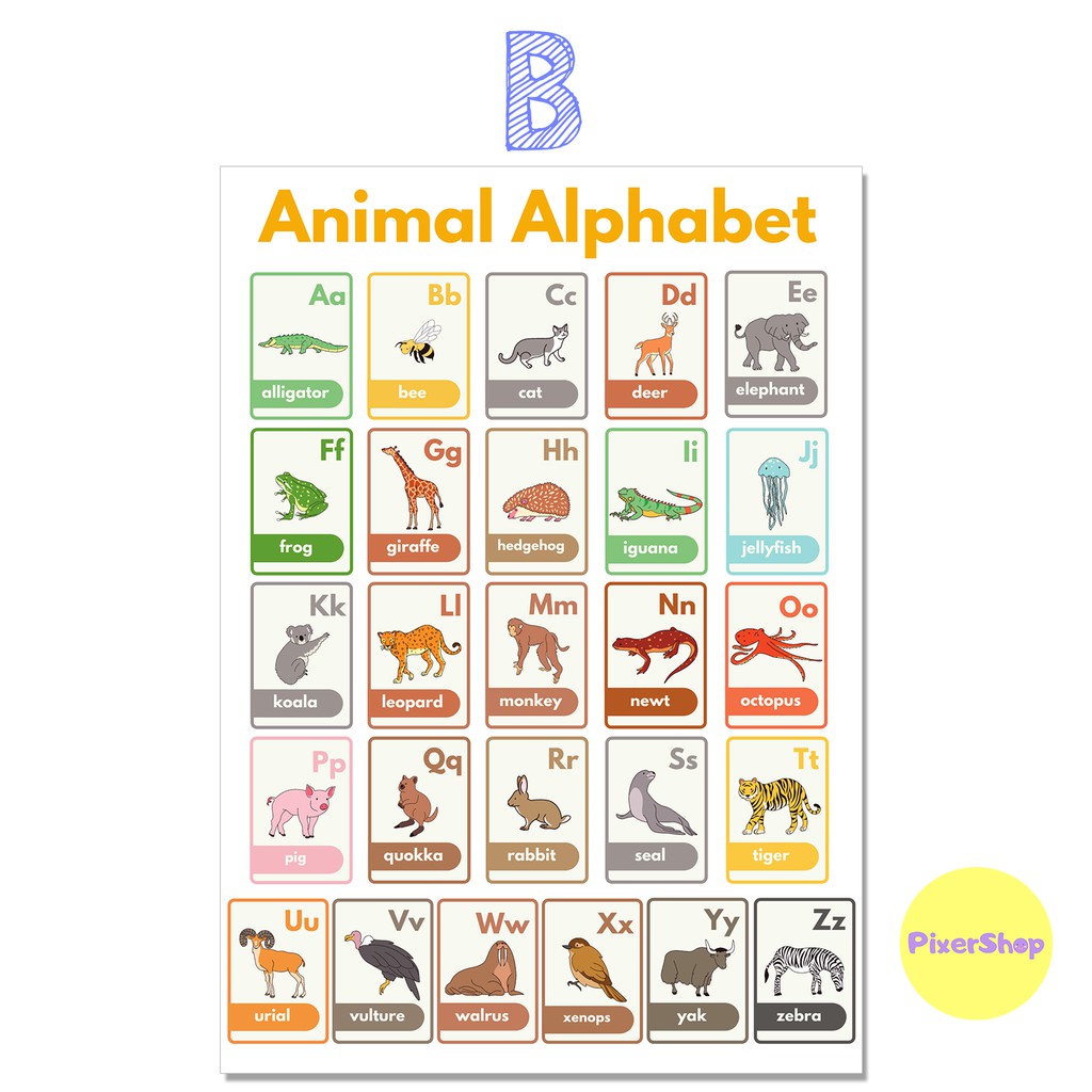 Animal Alphabet Laminated Chart /Educational Material A4 Size | Shopee ...