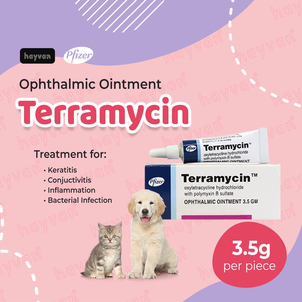 TERRAMYCIN 3.5g Ophthalmic Ointment For Dog Cat Conjunctiva For Pets ...