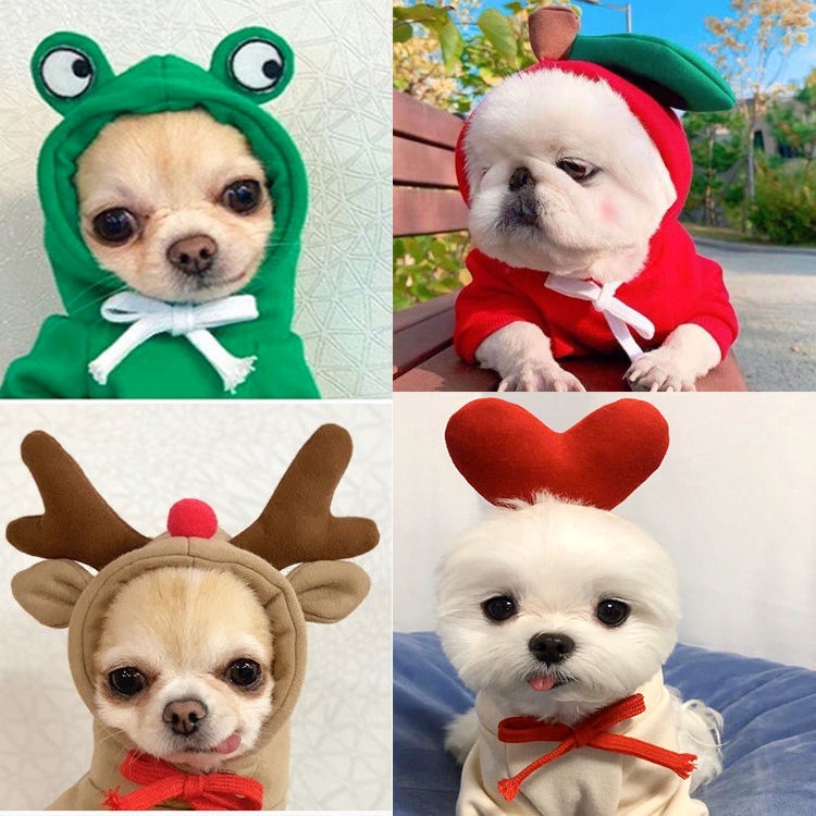 Pet clothes Cute Fruits turned into clothing for small and medium