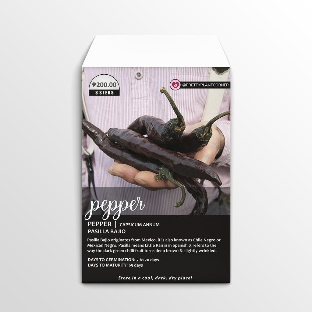 Pasilla Bajio Pepper Seeds | Shopee Philippines