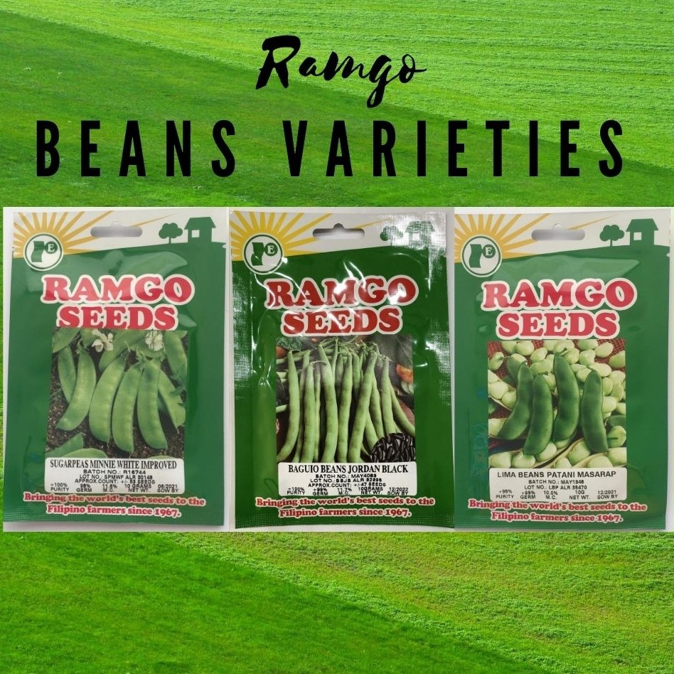 Ramgo BEAN Varieties Pouch Sugarpeas Patani Baguio Beans Lima Beans