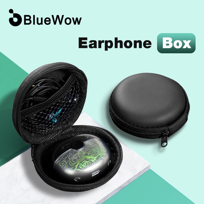 Earbud storage case