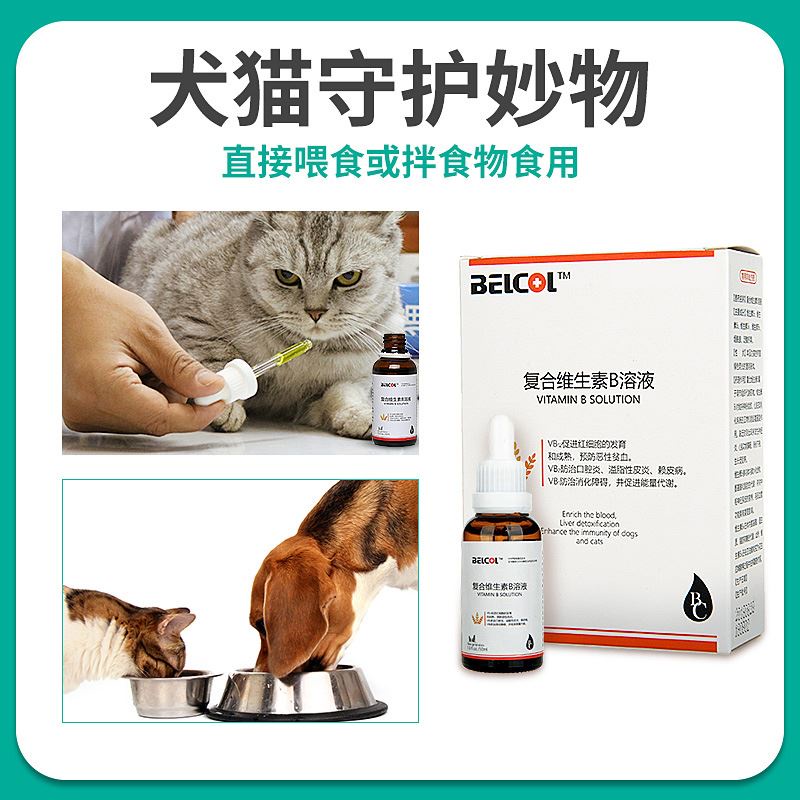 Pet vitaminsPet vitamin B complex solution cat stomatitis gingivitis dog skin disease hair