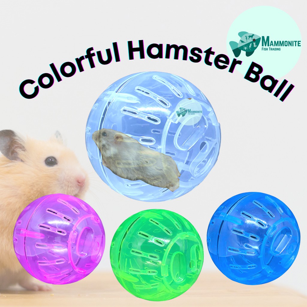 Hamster ball sale shopee