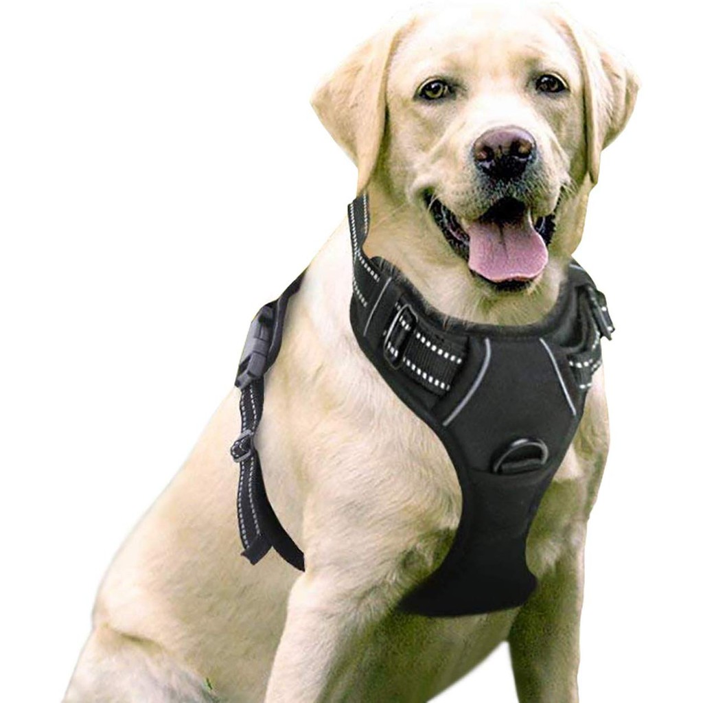 Dog harness shopee hotsell