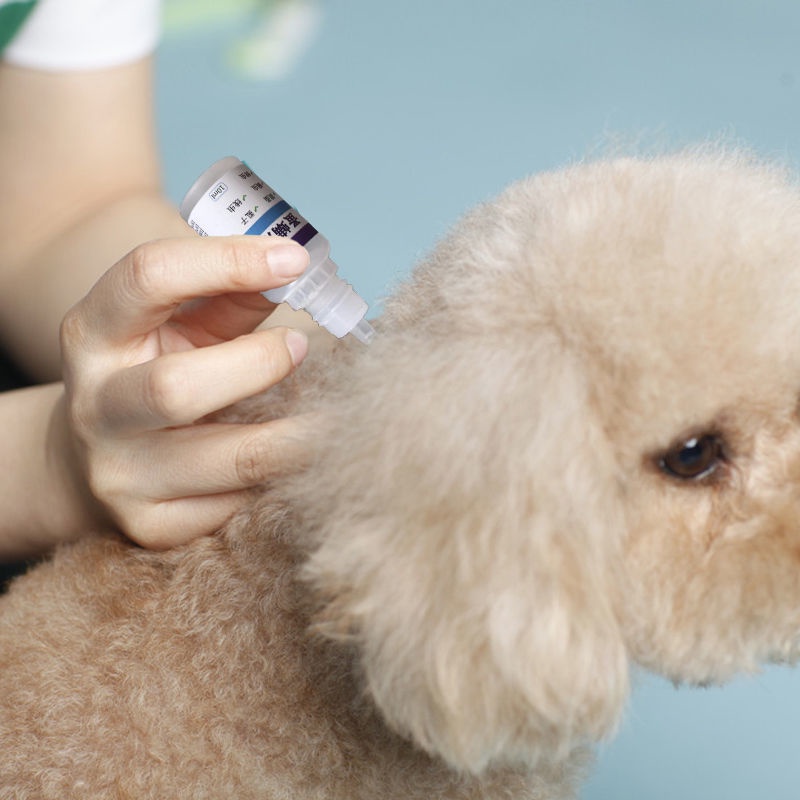 Gallery Detail: Pet Tick Remova Flea Removal Dewormer Pet Cat Household Flea