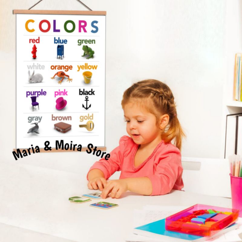 Educational Wall Chart | A4 Size Laminated Poster ABC, Shapes, Colors ...