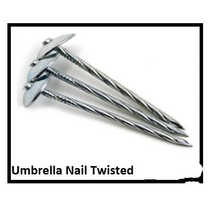 Roofing Nail | Umbrella Nail /Pakong Yero / SIZES 2 1/2'' ( SOLD PER 1 ...