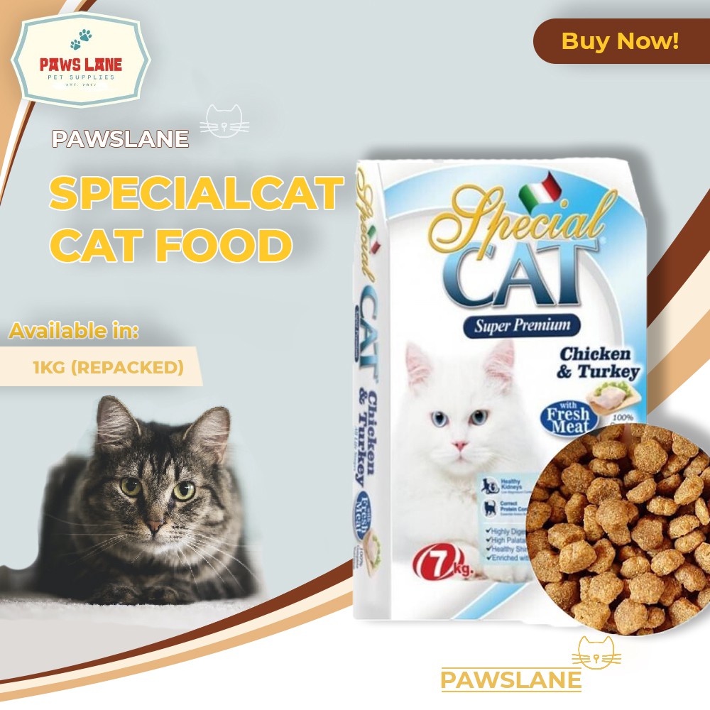 Cat food on special sale