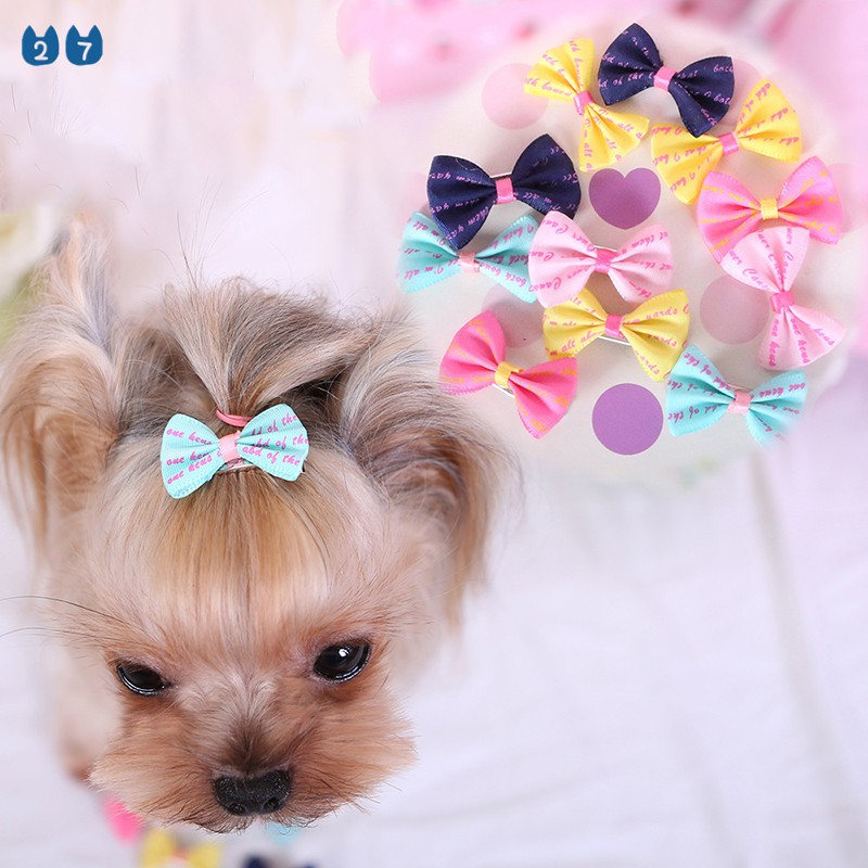 Dog hair pin top