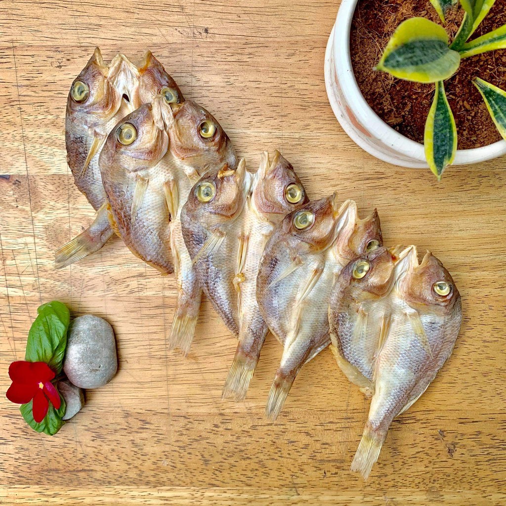 Dried Fish Katambak from Bantayan Island Cebu Shopee Philippines