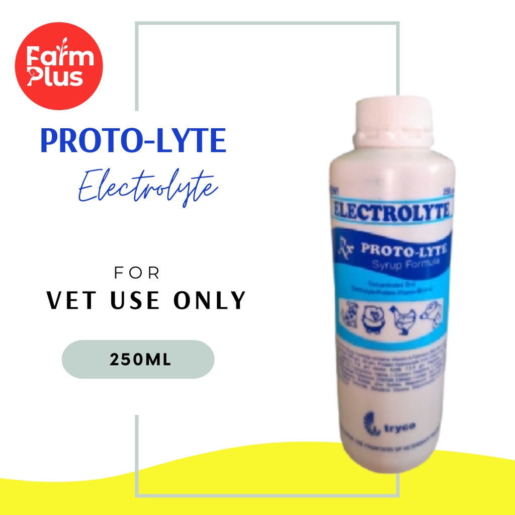 Proto lyte discount