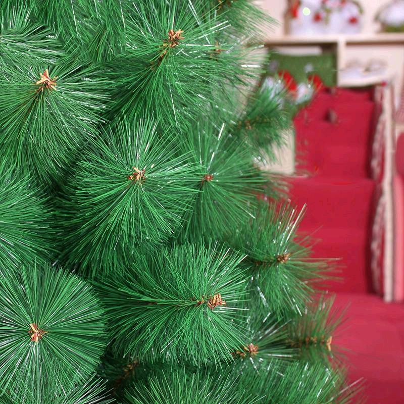 Green Pine Christmas Tree 7 Feet/ Seasonal Occational Christmas Tree