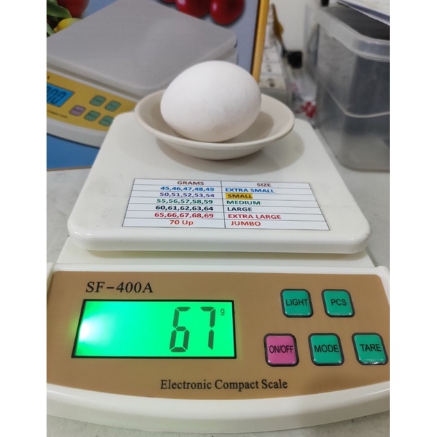 Digital Egg Scale