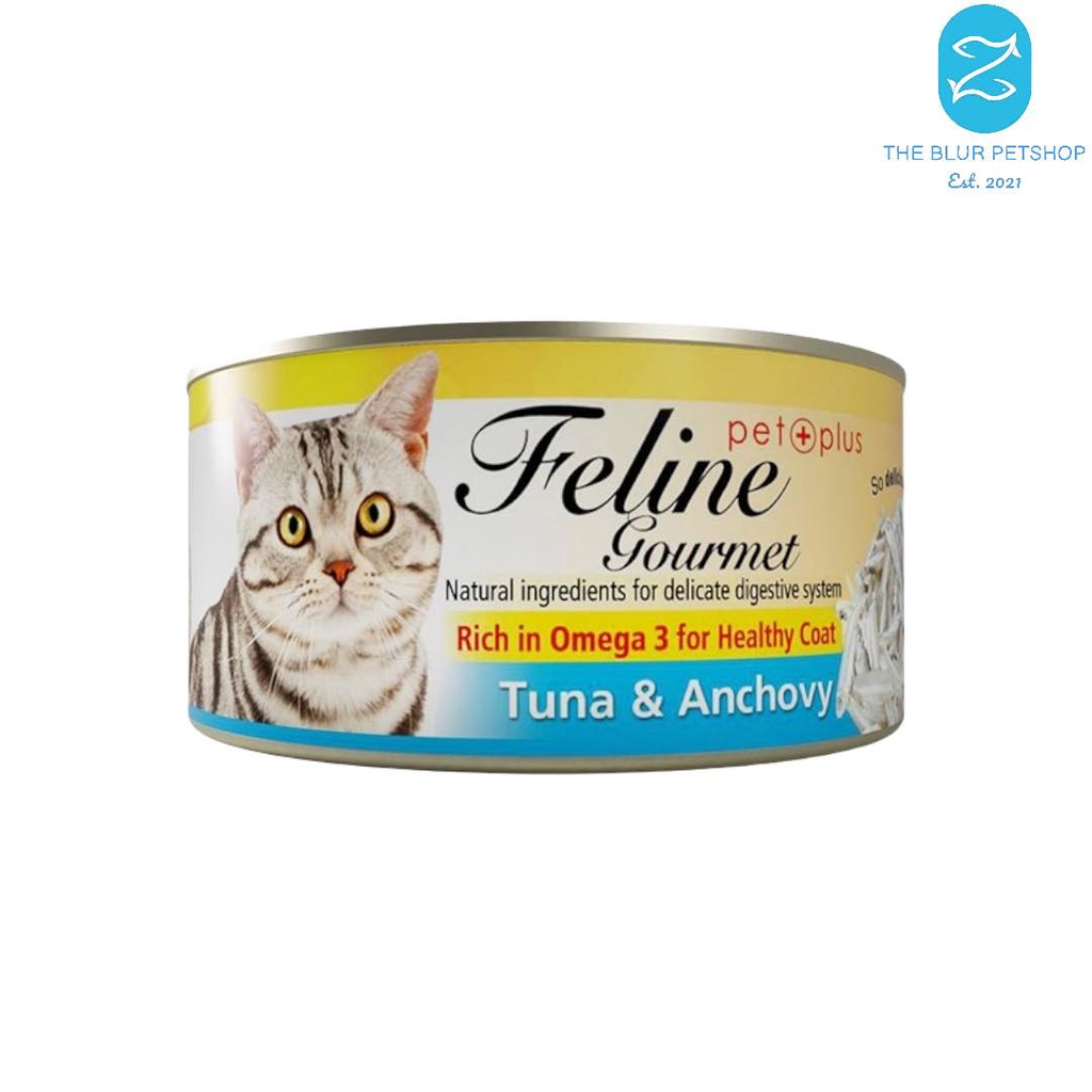 Feline Gourmet 80g All Stages Adult Kitten Cats Pet Wet Food Cat Can ...