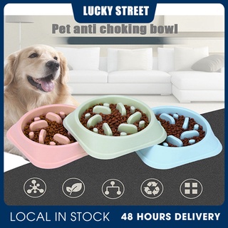 Dog Slow Feeder Bowl, Non Slip Puzzle Bowl - Anti-gulping Pet Slower Food  Feeding Dishes - Interactive Bloat Stop Dog Bo