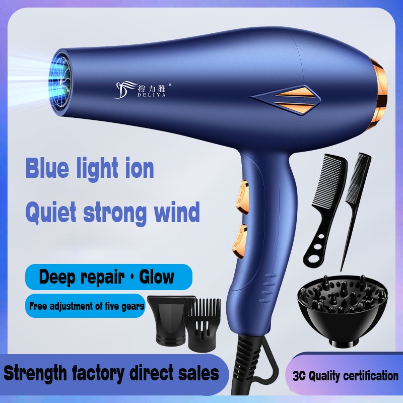 Blower Hair Dryer Professional Salon Hair Blower Quick Dry 2500W DLY