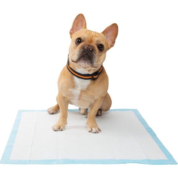 Poop mat shop for dogs