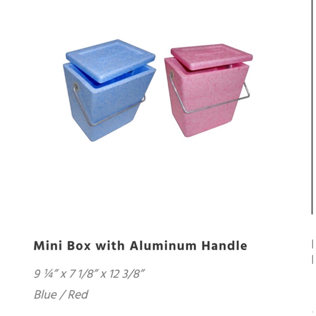 Disposable sales ice chest