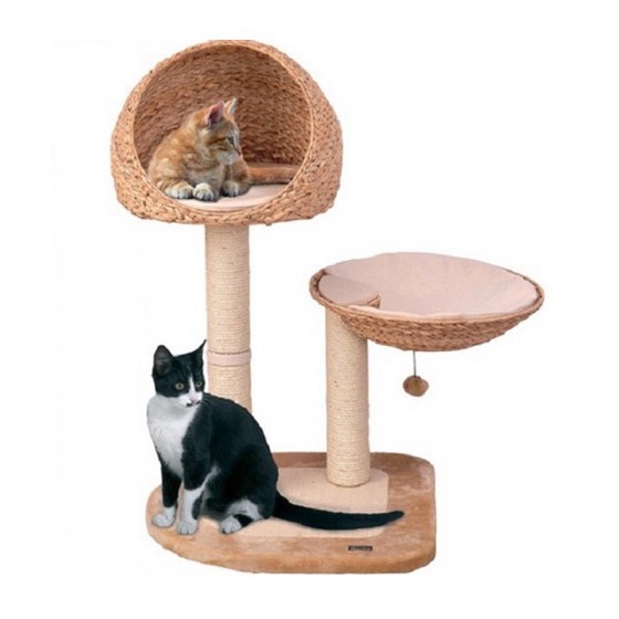 Cat shop scratcher shopee