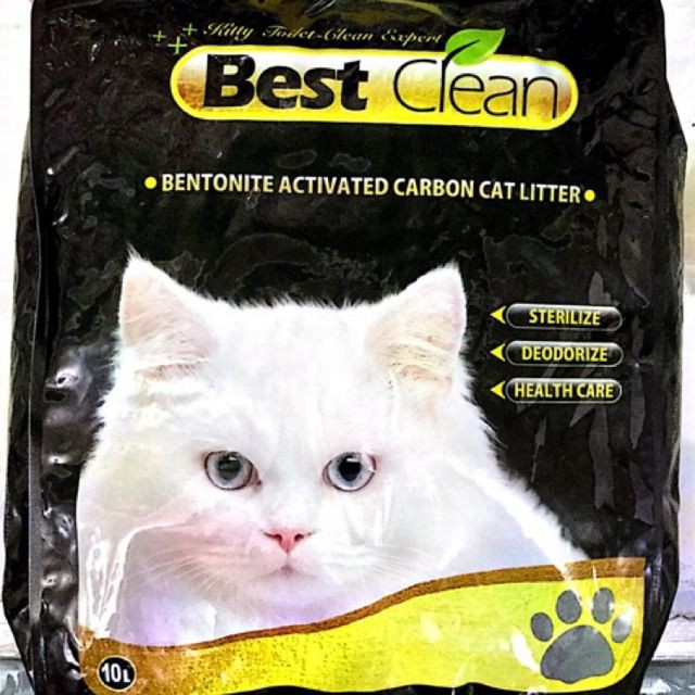 Best clean cat store litter