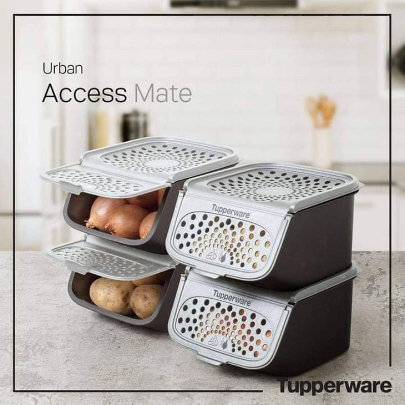 Access Mate Black Retail | Garlic Keeper | Tuber onion storage area (1 ...