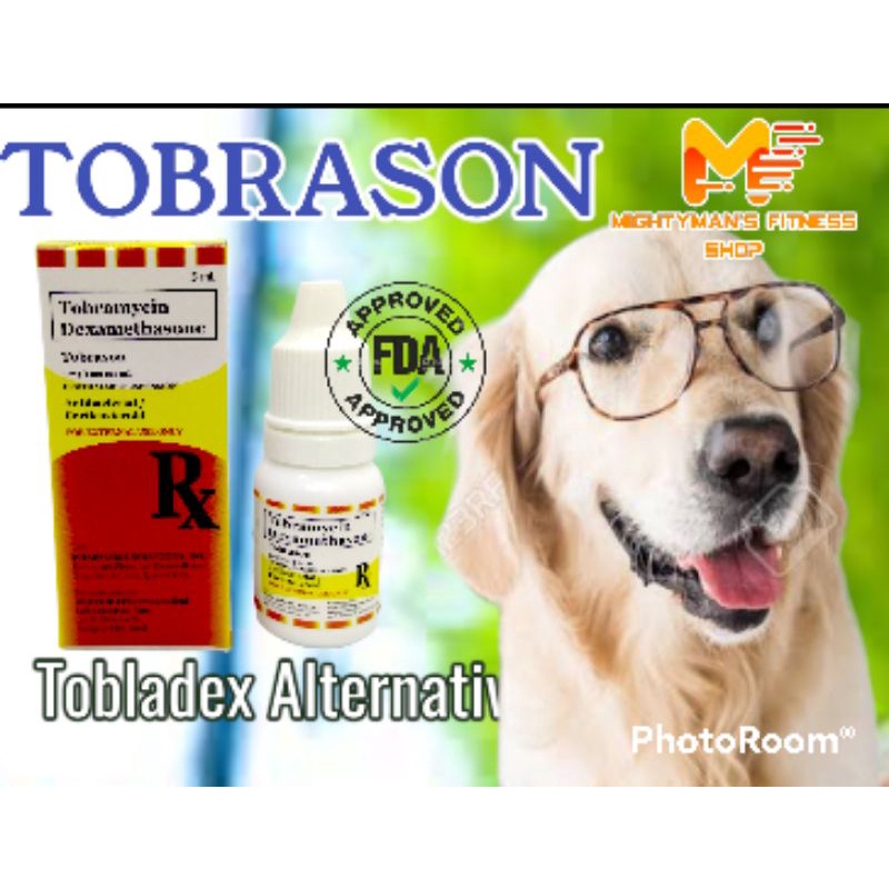 Tobramycin dog best sale ear infection