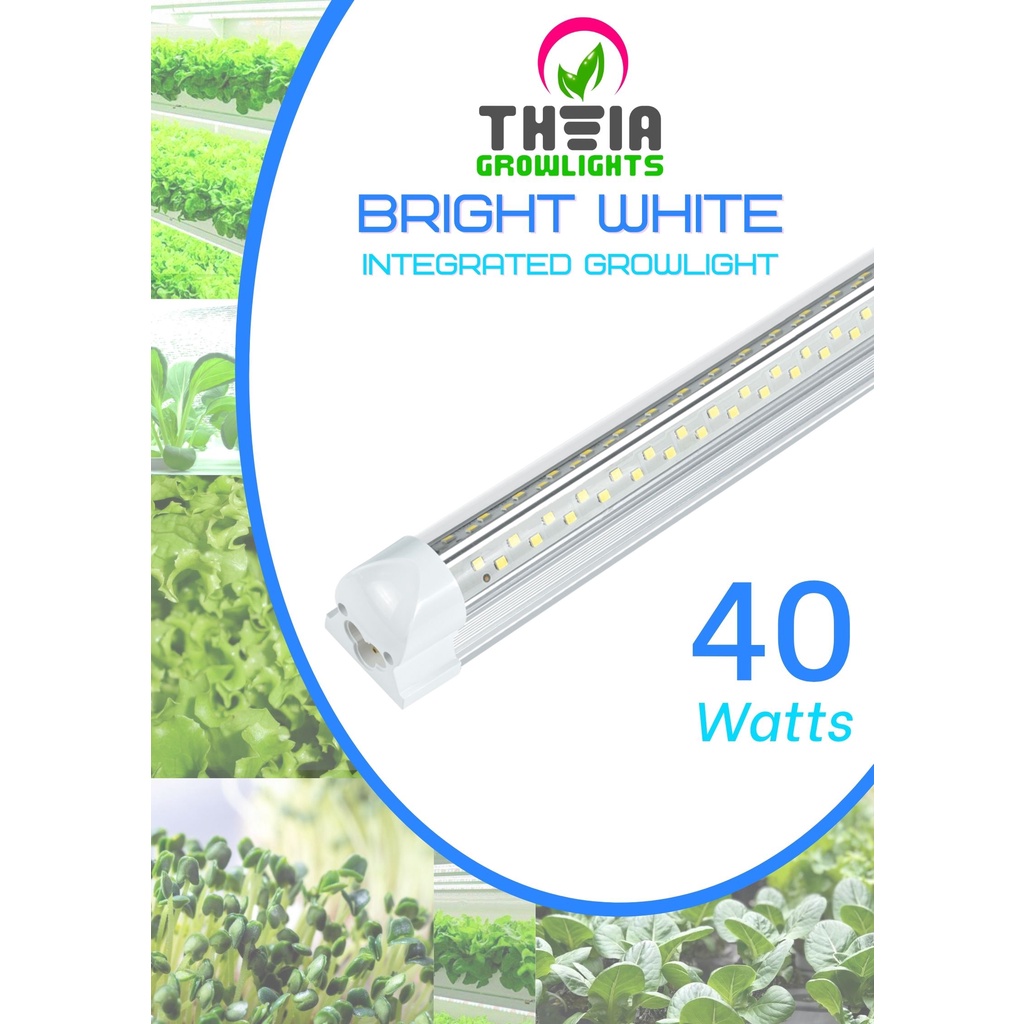 Theia Grow Lights T5 LED Bright White 4ft(40W)/LED Grow lights/Indoor
