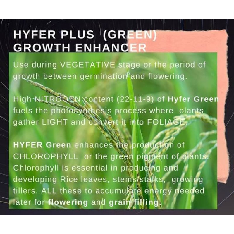 Hyfer Plus Bloom Booster/ Growth Enhancer ( 1 Liter ) | Shopee Philippines