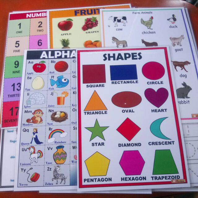 Laminated Chart (baby and kids) | Shopee Philippines