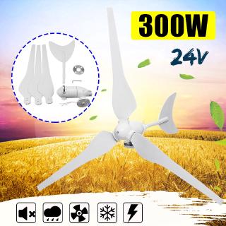 Small 300W 12V/24V Wind Power Generator/ Wind Turbine /Wind Mill