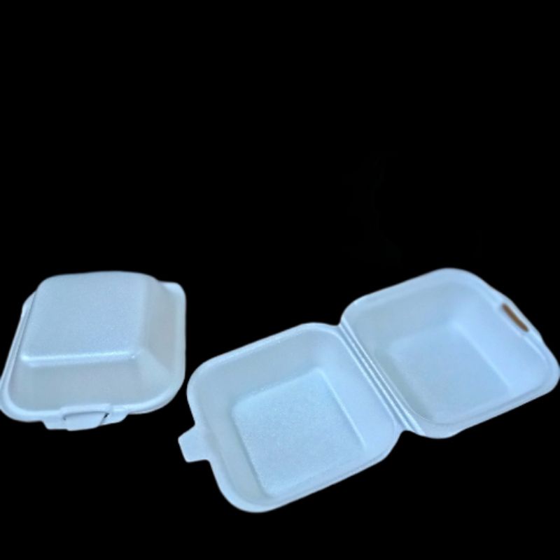 Styrofoam Lunch Box Brand Rice KCS Shopee Philippines