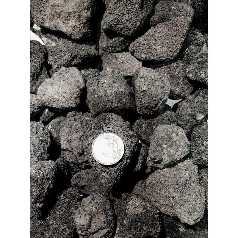 Gymnophilic Premium Lava Rock 5kg | Shopee Philippines