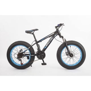 Phantom herculin fat online bike