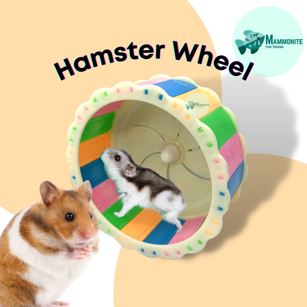 Pet Hamster Toy Running Wheel Colorful BE-P08 | Shopee Philippines