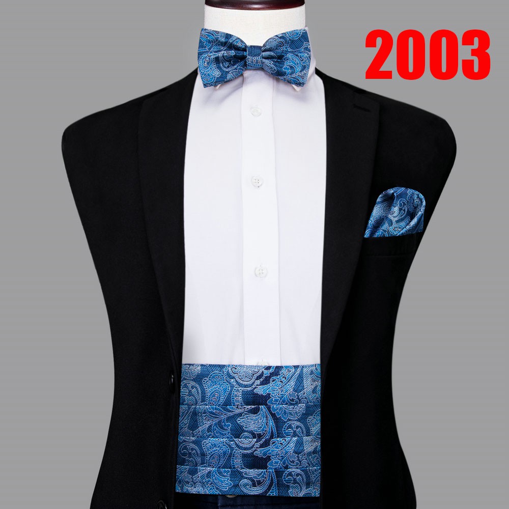 insHiTie Classic Silk Paisley Cummerbunds for Men Tuxedo Elastic Belt